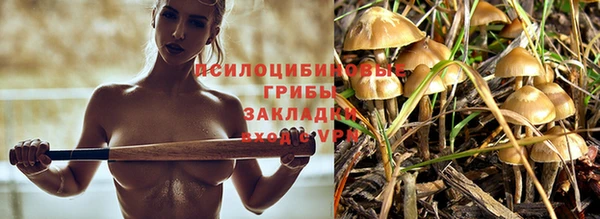 эйфоретик Липки