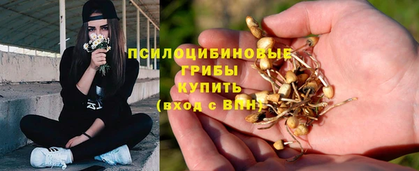 стаф Лиски