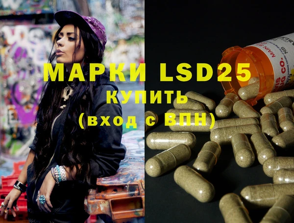 spice Магас